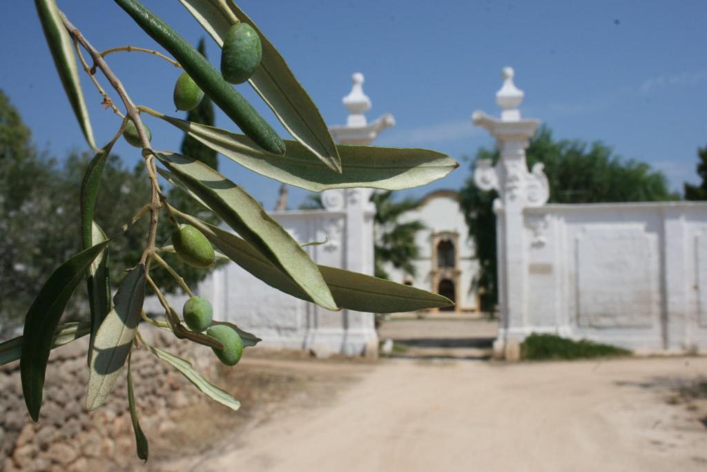 Masseria Maccarone ฟาซาโน ภายนอก รูปภาพ