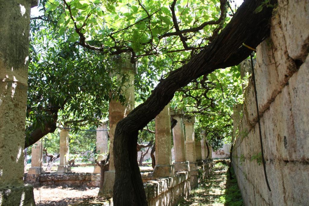 Masseria Maccarone ฟาซาโน ภายนอก รูปภาพ